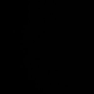 Meet your Posher, Evan